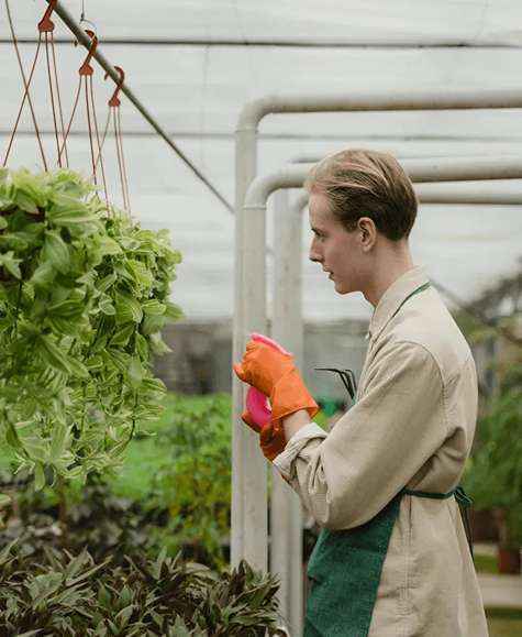 Boerderijlandschap van Farmzz met kassen en akkers