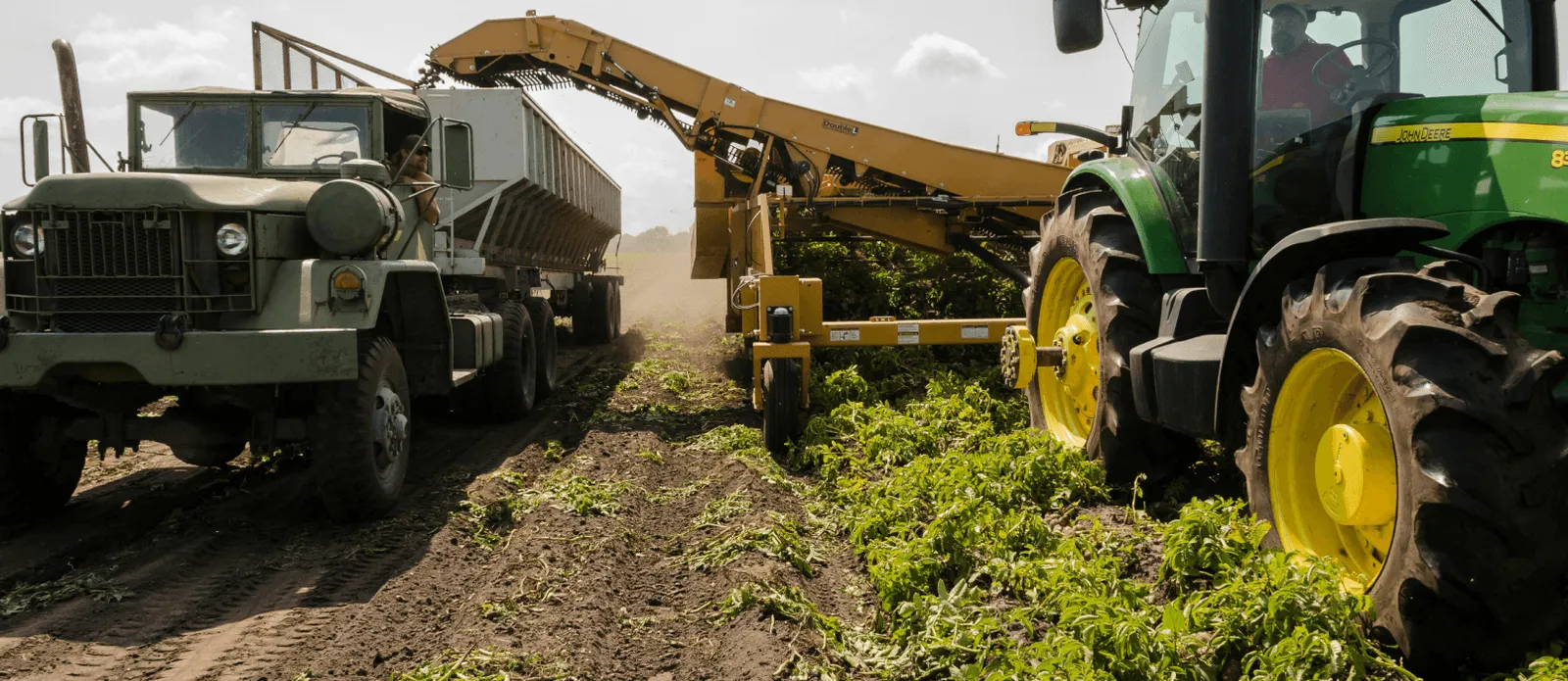 AI‑gestuurde sensoren en drones op het veld