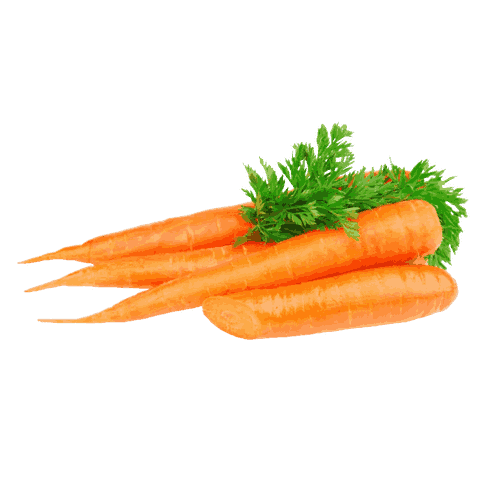 Biologische wortel — 1 kg