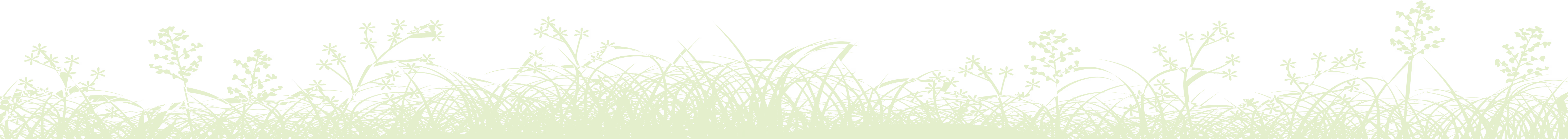 Decoratieve grasrand in de footer