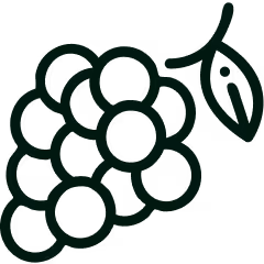 Pictogram: biologische fruitsoorten