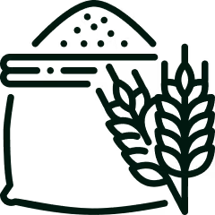 Pictogram: granen en tarweproducten