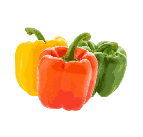 Kleurrijke paprika — mix 1 kg