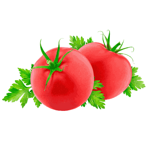 Verse tomaat — 1 kg